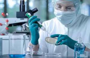 73fdcf65d910b9f5e72551611b9121a2