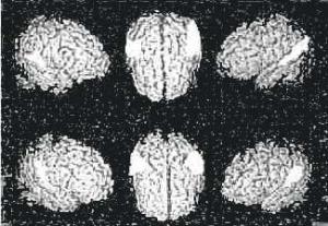 003a67c32fcce6c8ac66e5e8adb7e66f