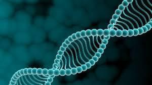 026044c07680933b167911783dbbfa91