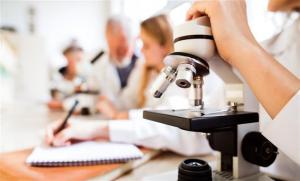 05b2436d3f22135a94ad5fd08feea511