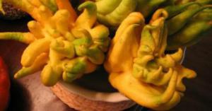 1fef9c0fa97b01398814915c34309db6