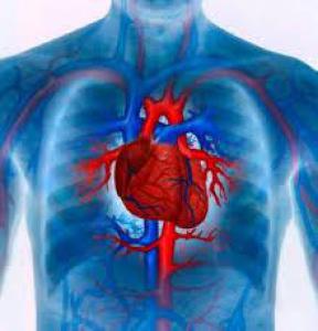 233c0eda7603bb17f56077e650b332f0