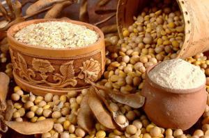 41fc06227bb885944aece03f75bcdbd2