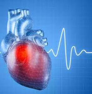 590b289805014bd56a6009bd5b7e94f1