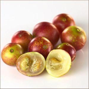 5e5a0519dda02a292945fca8afcbd927