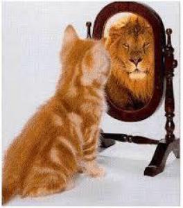 5f5505636bc748db25d4655998cb78a9