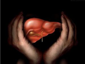 651d9bfb062cb637faec5bb4f74e39a8