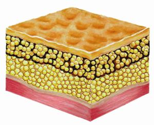 67a7a2220d2d6addd9da62c6583e6aa1