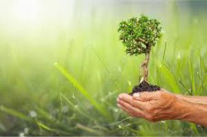 70507a1586d4c967834666833e9c3176