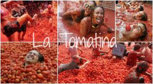 7bb8fd72026830319e8df6110efc49d9