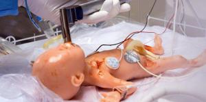 A6350d63d552af354b337ecfe535cc0b