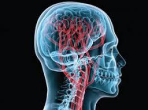 B93b0e9e3eea40fe7382f10a426c0d81