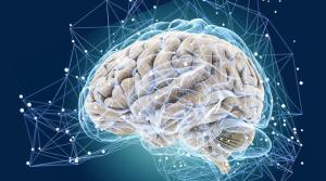 C5fbd20741d3beebd4e43a4f4399b913