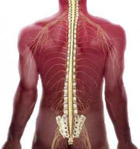 C7613da1672ba98cca4c2f8d5036e936