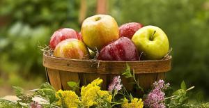 Cae6039680d4570d4afb7436e36fe059