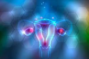 D238429bf7c7c6d25d26bb344209a6a4