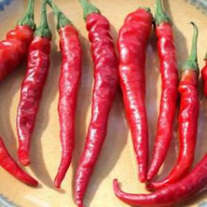 E2b238790cd536eaffec809bc6ed982a