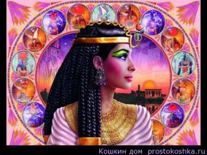 E802e6481ca55a0b7e20f18dc8f7f391