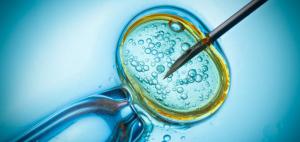 Efbc0b7ea80212f06ae4a40a2ae88dd6