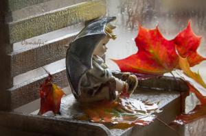 Fd6de8c3f7f116f43c6d9ae8600ba295