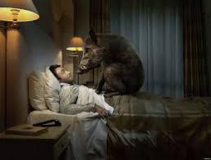 Fec5cb29ac3c6d1f807937e0ecaad1af