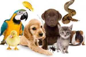 01561721b0e54b63a497a97346ee87a8