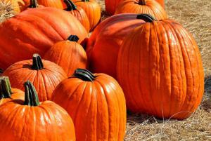 0964844b4eafb1aa40c9c70d9e65b956