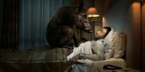 0b97be8aff645960495d7ae0a8d42558