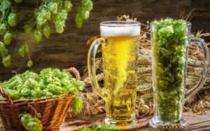 14d1c676304b7737670f17c415f1f061