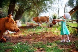 1f8d1faed433a6e247c6e5882b3440c3