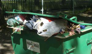 232247cb66284cab7555727465d2af81