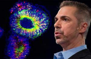 2bf194ff3cfaa258d96b4a51bca3be25