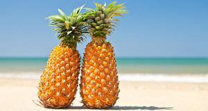 335745586263f79745c58a68135b1109