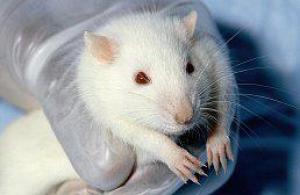 4e78e03e8bc25b5c0ff899a8762d5dde