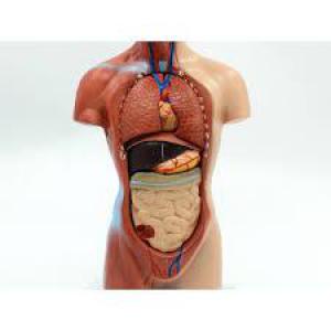 63a48d645f82dc501dfec5d4252c32c4