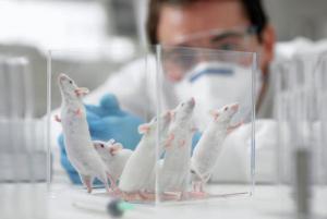 6afb327a2794cd0b169aa1f2cec37f06