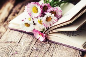 6cb3b66b36b247e66ce2d8bb967adb92