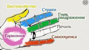 79caf157732161439ed77fe0af36c79a