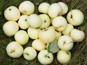 7d41bdb250ffd062ab27c23b4280893a