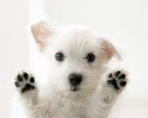 7e6eeeaa8f17f4c007846b0b3c06c78c