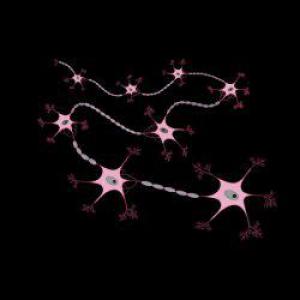 8204729a613616e248a78cc2cbff79ac