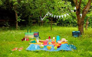 8a8dbd82bf79208fdb455695bb21b402