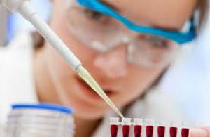 92605eb3e41bfc9a9e173c1141bc8a74