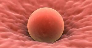 9bf3fad77540f958c5de87d57a4dd3bf