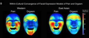 A1bccb90815bb2fabc48e9a99bcc1358