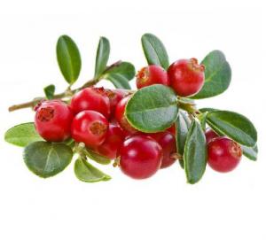 A1d7430c25c90a52f7d4627fd8a54228