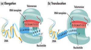 Ab937dbd6dac5bf720dfbb688a1f8763