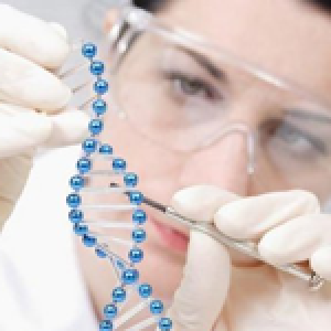 B3e4d65b1f43155b4e9585527d72cece