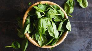 B72888266e7951682db7a005960c2b9c