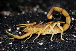 B9138553e9cfe00d89bac0c1045a5eb7